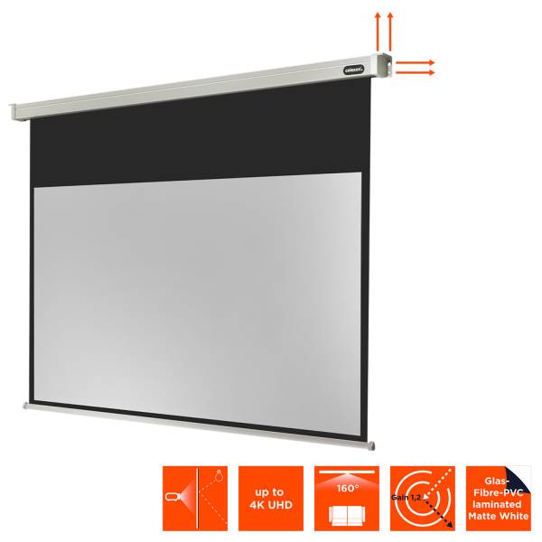 Celexon Leinwand Motor Professional 300 x 169 cm