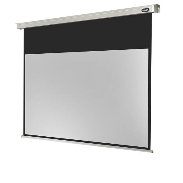 Celexon Leinwand Motor Professional 300 x 169 cm